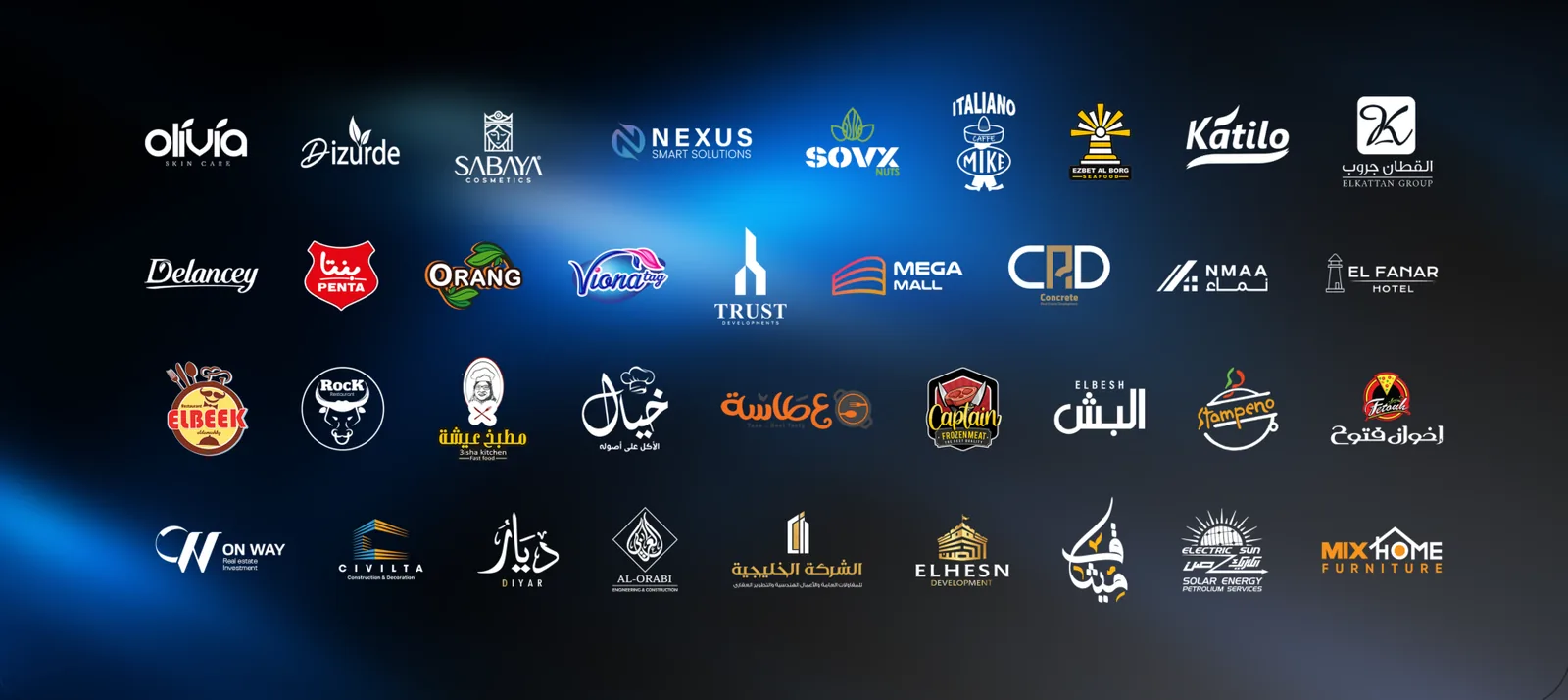 شركاء في مصر